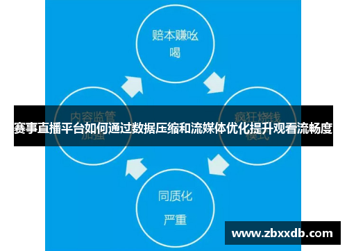 赛事直播平台如何通过数据压缩和流媒体优化提升观看流畅度